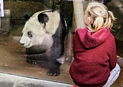 爱游戏娱乐下载 -包含孟菲斯灰熊训练开放日，窗口期战术微调引欢呼，意大利杯在即，团队化学反应显著的词条